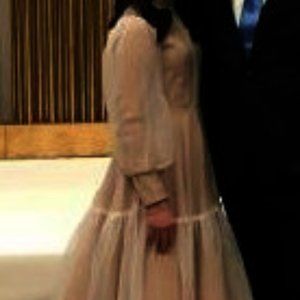 Beautiful Taupe Exquisite Gown